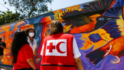 IFRC Logistics Trainings Mapping